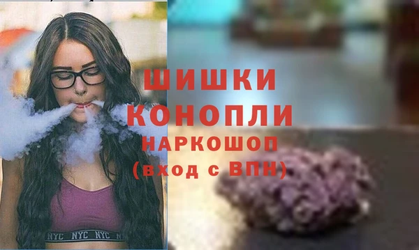Альфа ПВП Кущёвская