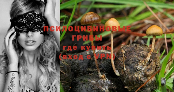 метадон Чердынь