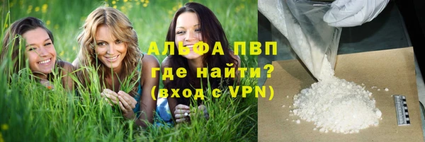Альфа ПВП Кущёвская